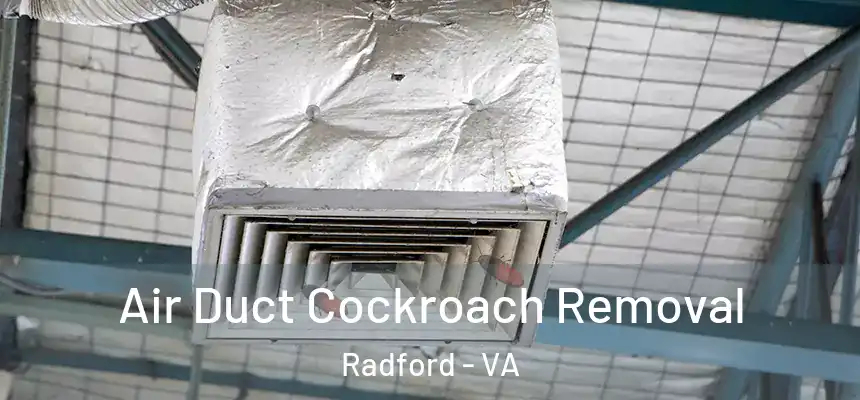  Air Duct Cockroach Removal Radford - VA