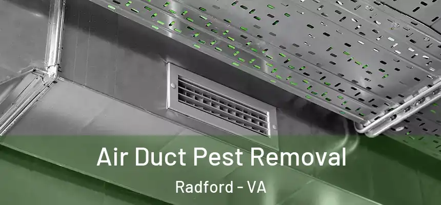  Air Duct Pest Removal Radford - VA