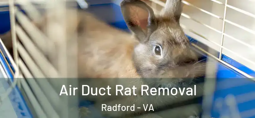  Air Duct Rat Removal Radford - VA