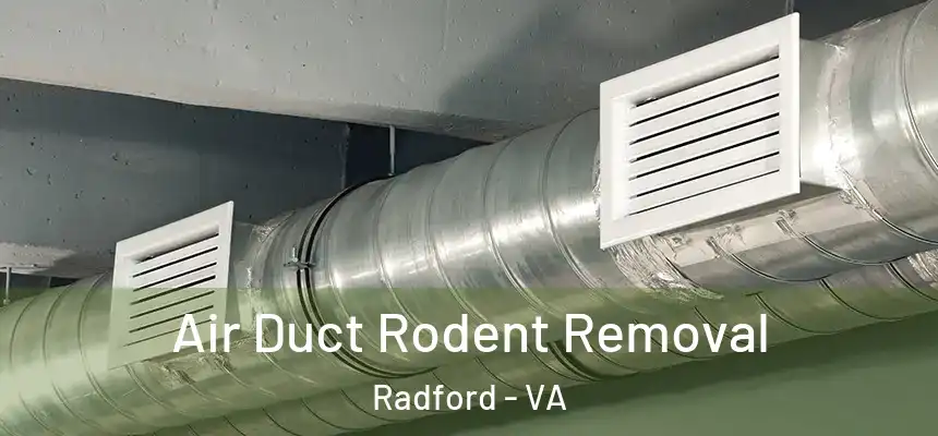  Air Duct Rodent Removal Radford - VA