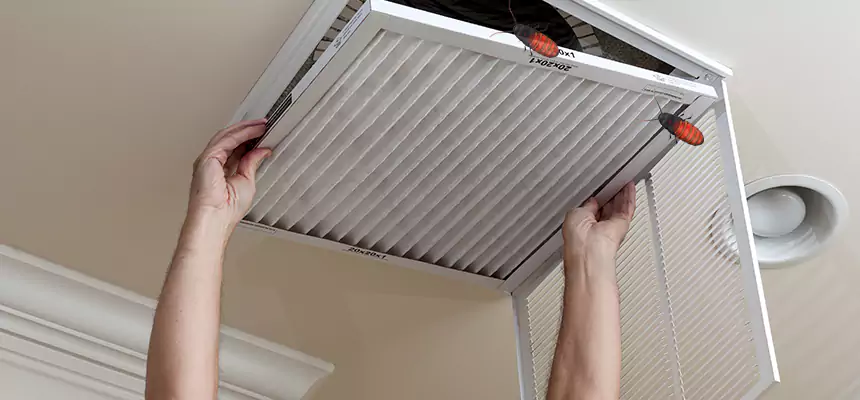 Preventive Cockroach-Proofing for Ducts in Radford