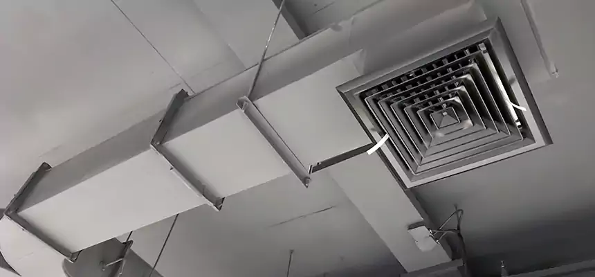 Restorative Allergy Relief Vent Cleaning – Coil, Blower & Housing Detail in Radford