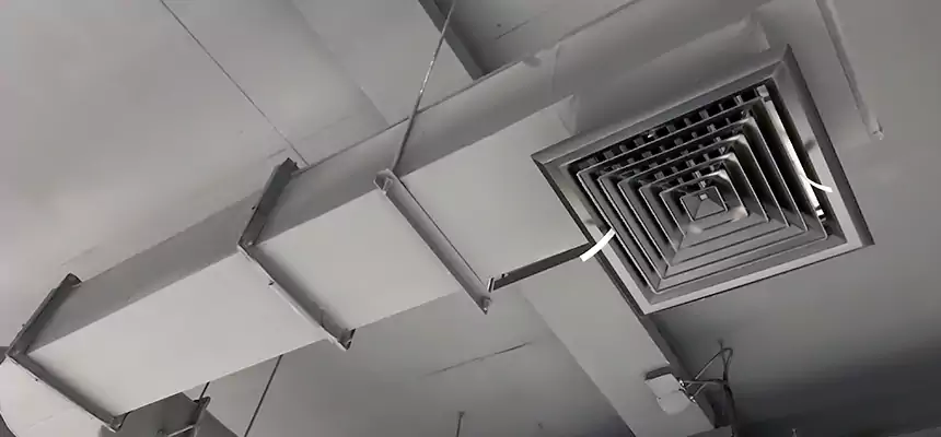 Our Pest Removal From Ducts Services in Radford, VA