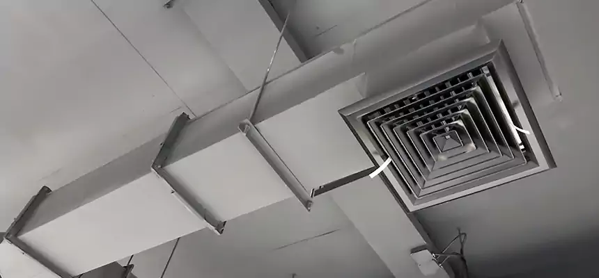 Our Rodent Droppings In Vents Services in Radford, VA