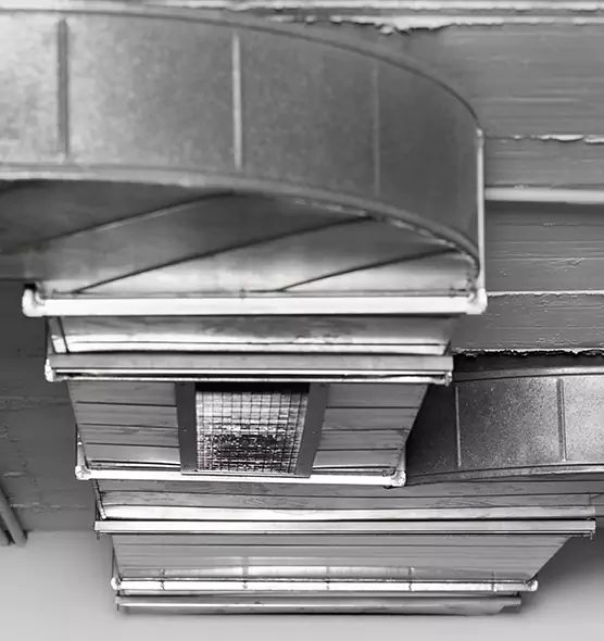 Professional Air Duct Pet Hair Removal in Radford, VA