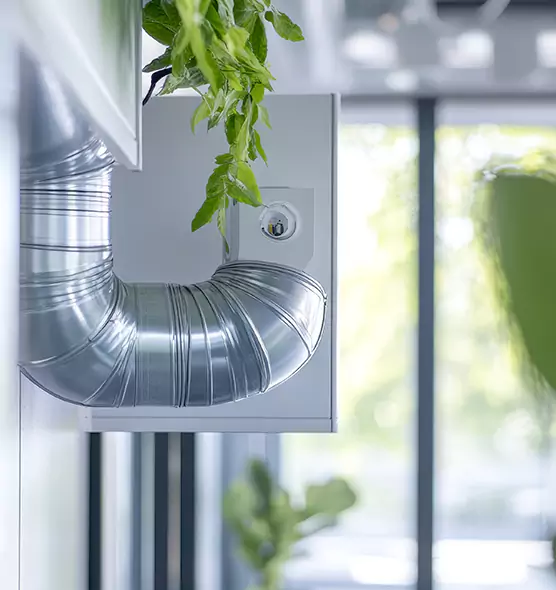 Professional Eco-Safe Dryer Vent Cleaning in Radford, VA